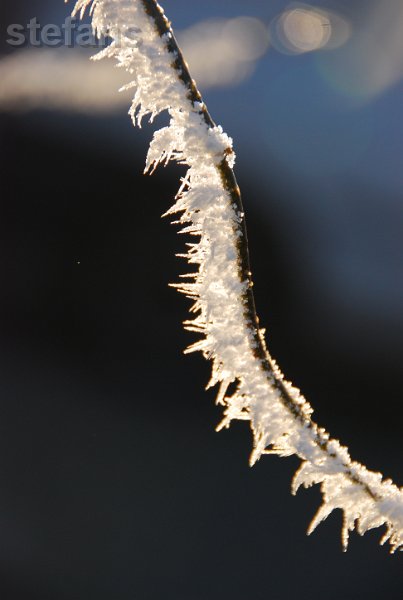 winter 2007 167