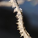winter 2007 167