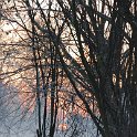 winter 2007 191